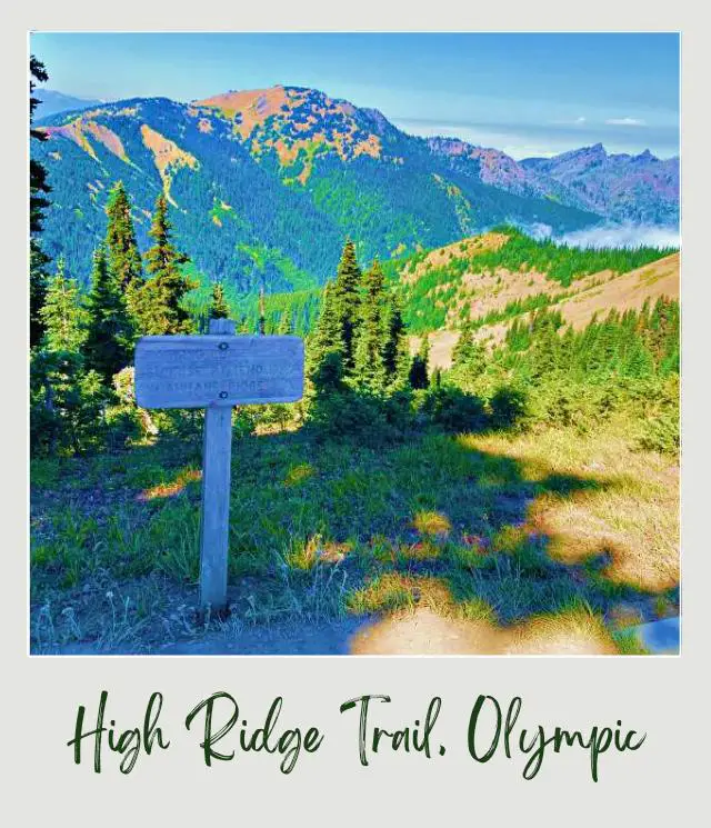 High Ridge Trail to Sunrise Point, Hurricane Ridge: Complete Guide Wooden in the middle of a field of grass and behind are mountains and trees in Hurricane Ridge Olympic National Park