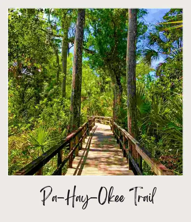 The Best Winter Hikes in the US National Parks Wooden Trail in Pa Hay Okee Trail Everglades National Park