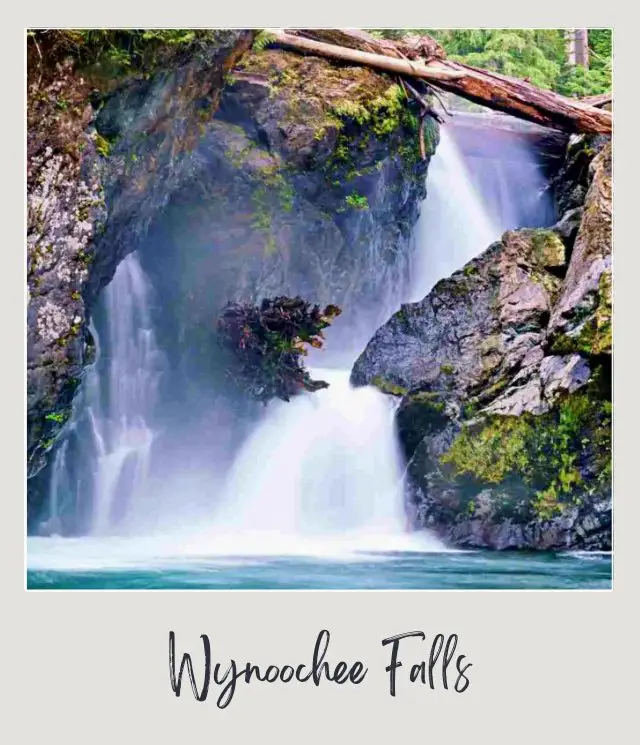 Waterfalls in the middle of the huge rocks surrounded by trees, and below is a wide plunge pool of waterfall in Olympic National Park