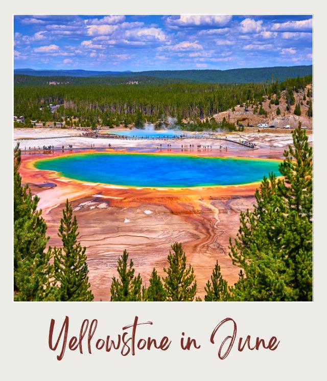 View of the Grand Prismatic Spring in Yellowstone National Park displaying vibrant blue, green, yellow, and orange geothermal colors surrounded by forest and a partly cloudy sky, with text reading ‘Yellowstone in June.