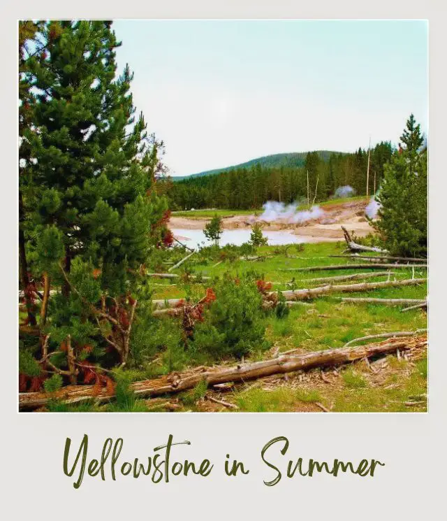 Visiting Yellowstone National Park: What To Expect Throughout the Year Yellowstone during Summer June August