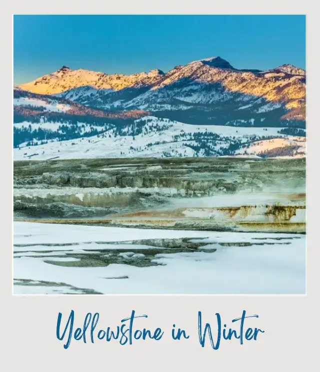 Visiting Yellowstone National Park: What To Expect Throughout the Year Yellowstone in Winter December – March