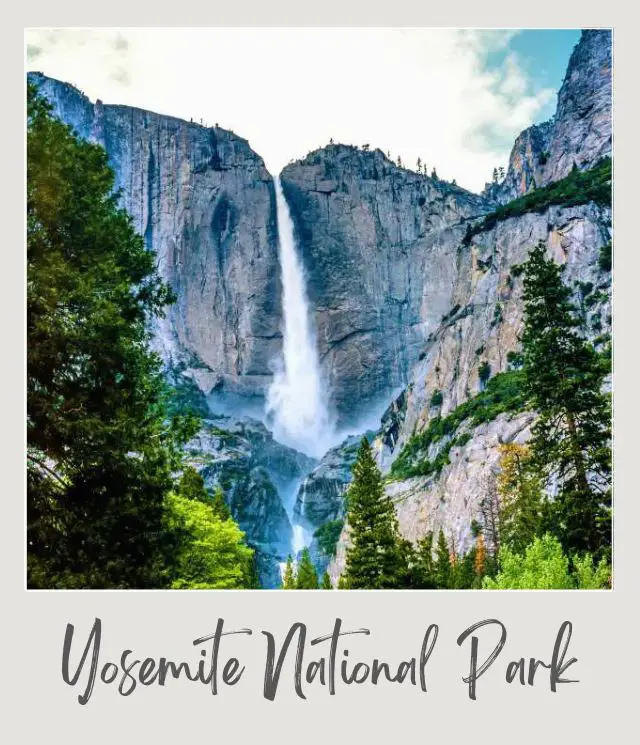 10 Fun Facts About Yosemite National Park View of the waterfall from below surrounded by trees in Yosemite National Park.