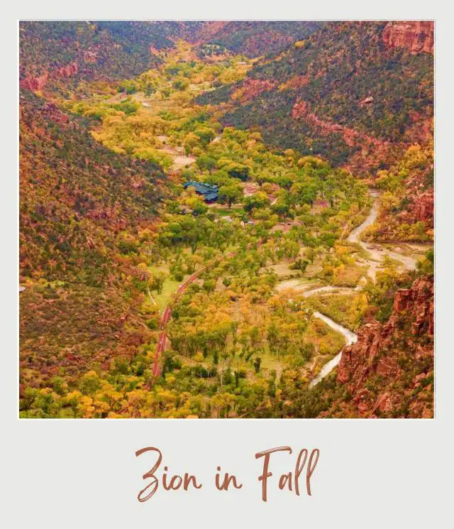 The 10 Best National Parks to Visit in the Fall Zion National Park Fall Color