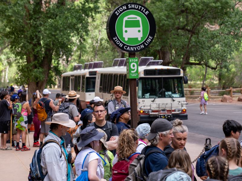 Line of visitors waits to board shuttles at Temple of Sinawava in Zion Nation al Park. Two uniformed NPS rangers standby to direct traffic.