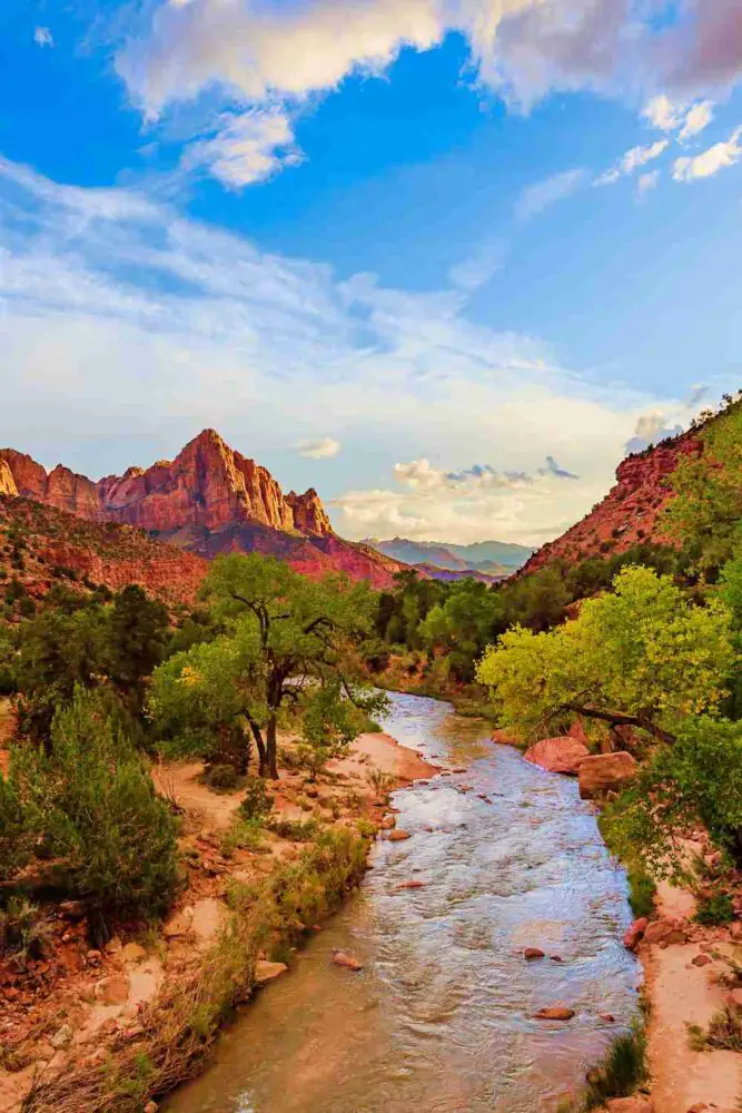 River surrounded by trees and red cliffs under the blue sky in Zion National Park