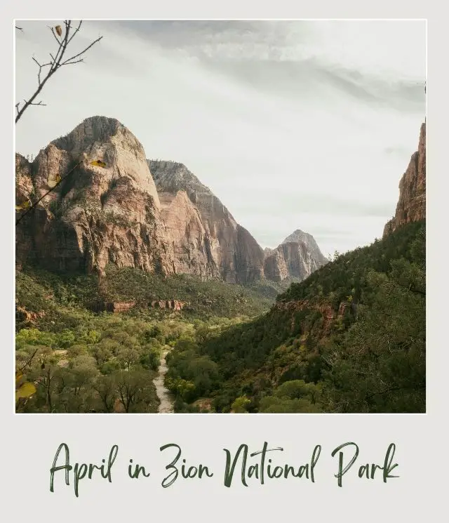 valley and cliffs in Zion National Park in April