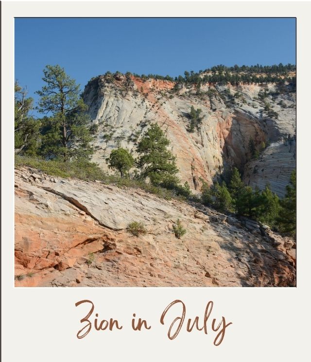 white and orange cliffs with some trees in Zion in July
