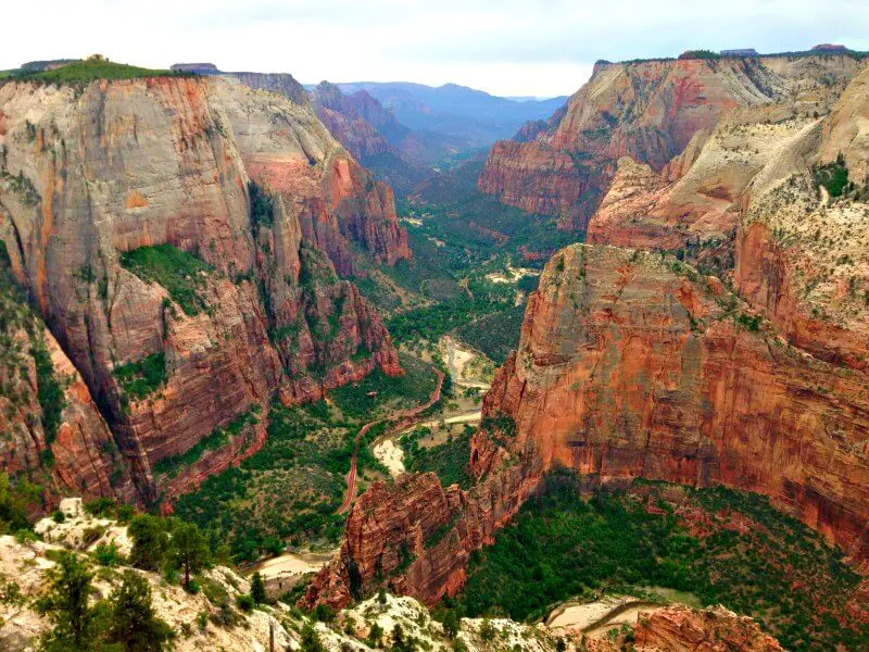 Zion national park in the summer