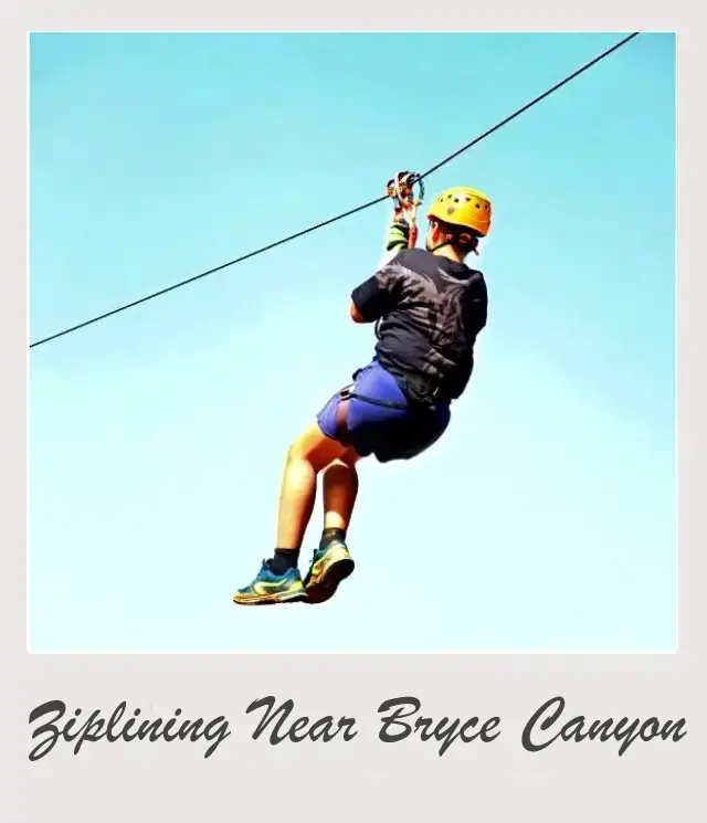 boy ziplining