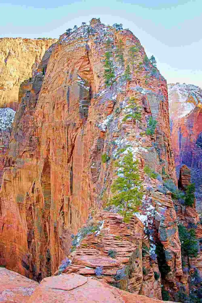 Huge rock cliffs surrounded by trees in Zion National Park