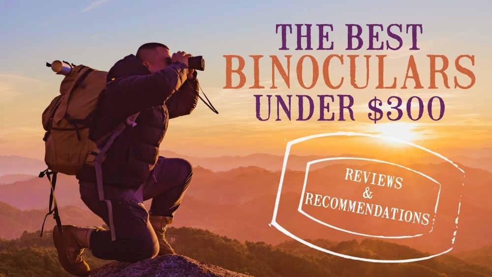 best binoculars UNDER 300 DOLLARS