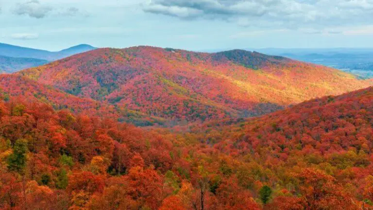 The Best Places To See Fall Colors In USA National And State Parks