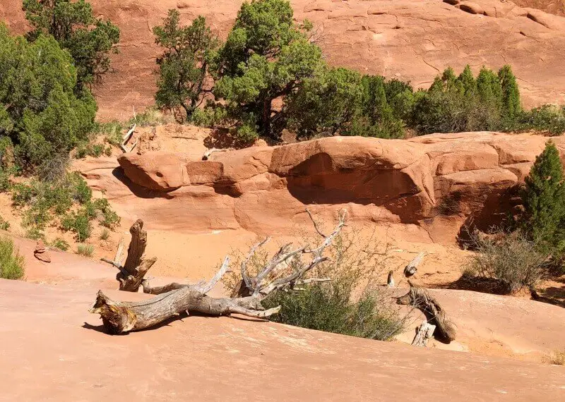 follow-the-logs-and-cairns-Devils-Garden-TRail-Arches-National-Park