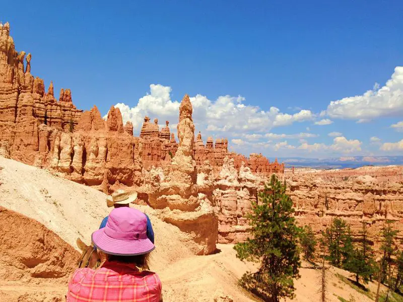 A woman and man, and in front of them are piles of rocks surrounded by small trees in Bryce Canyon.