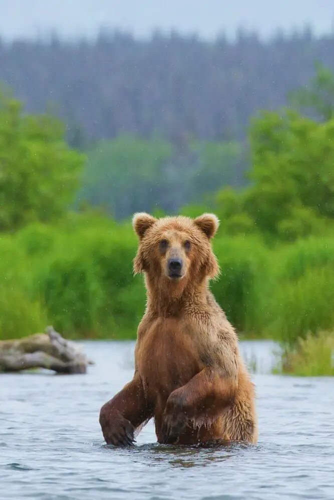 lake Clark national park alaska