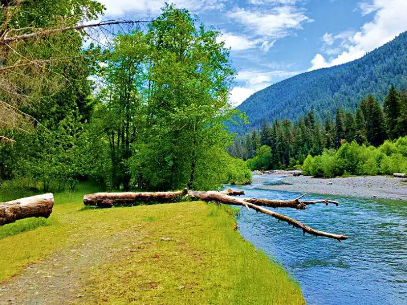 lunch spot at five mile island hoh river trail