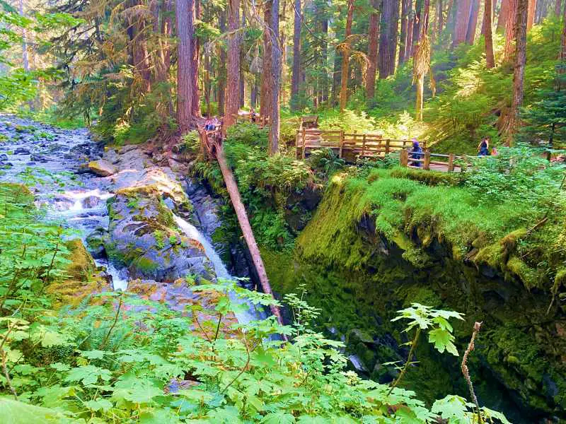 People on the wooden walkways and besides is a waterfalls surrounded by rocks, trees, and plants in Sol Duc Falls Olympic National Park