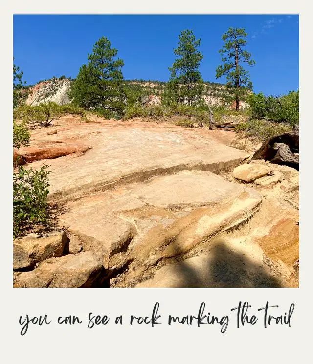 A photo of a smooth, sloping rock surface marks the trail, surrounded by green pines and rugged terrain under a bright blue sky at East Rim Trail in Zion National Park.