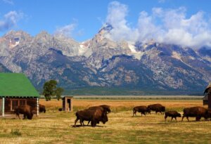 21 Best Things To Do In Grand Teton National Park