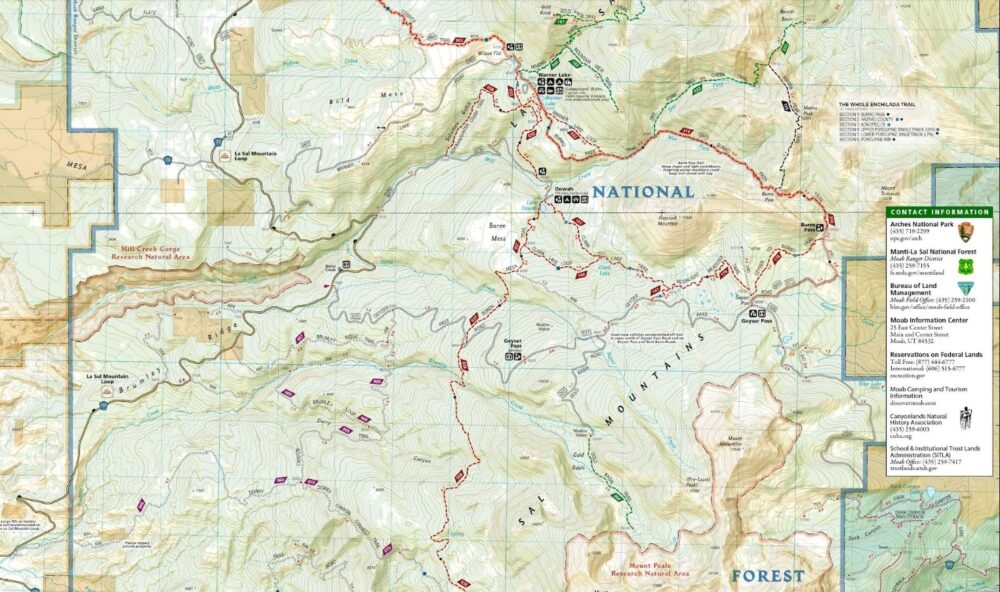 topographic map