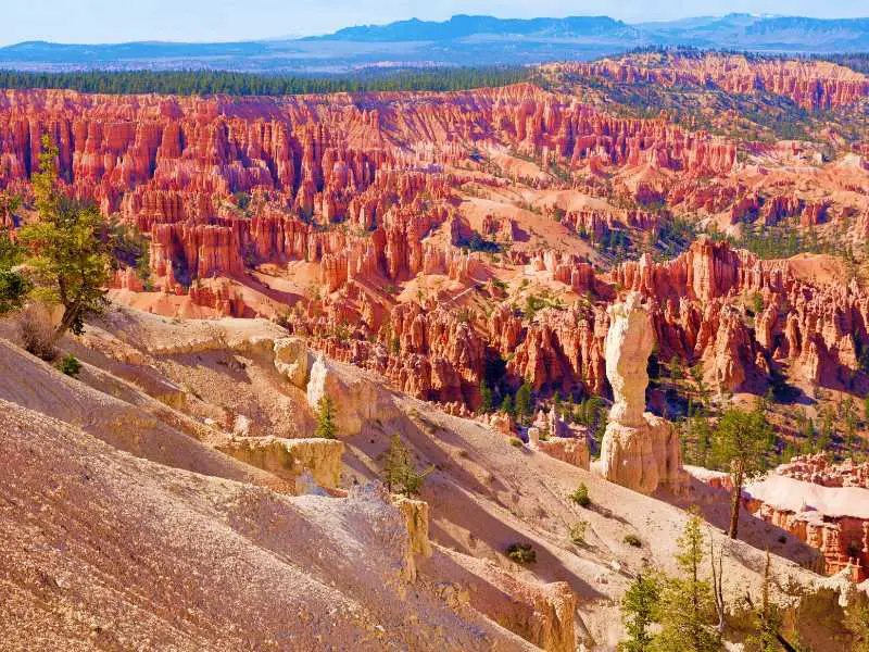 Rock cliffs surrounded by trees in the middle of the day in Bryce Canyon National Park