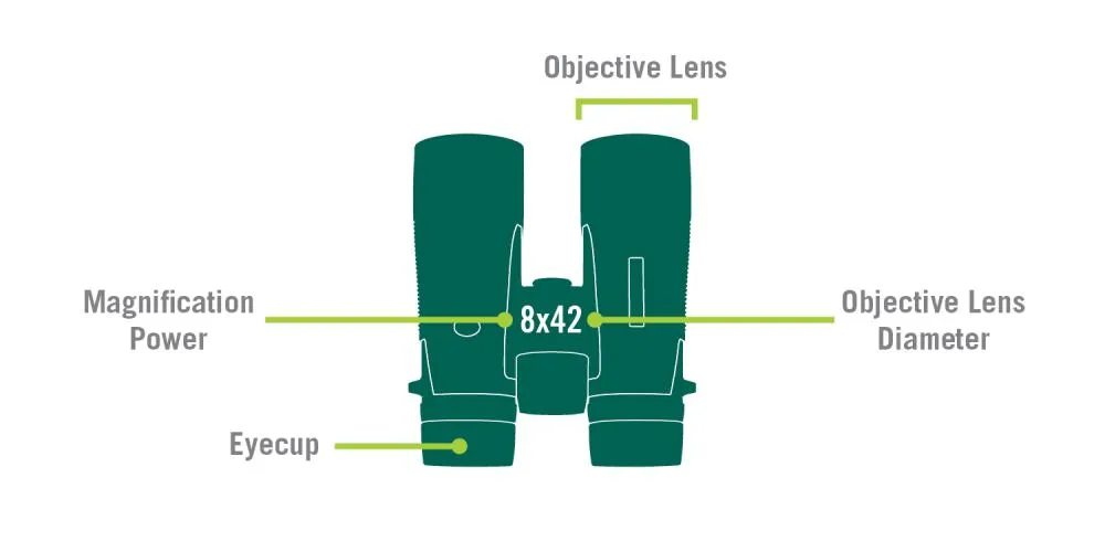 graphic showing key metrics for binoculars