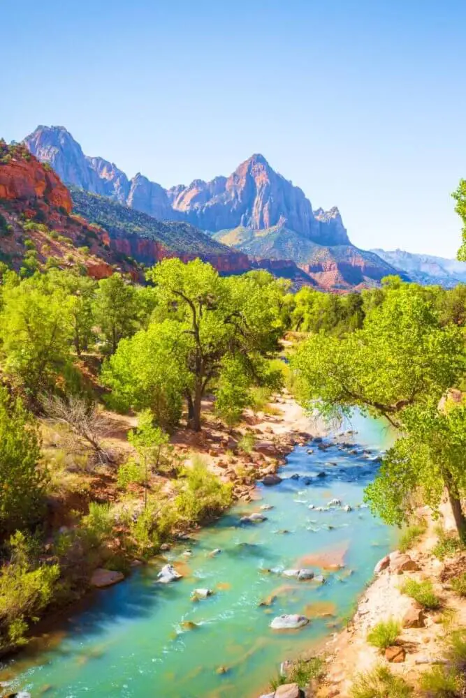 zion national park spring